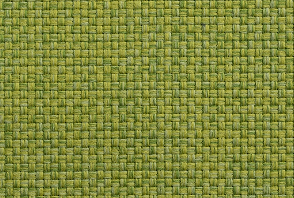 Laine Oasis Palm